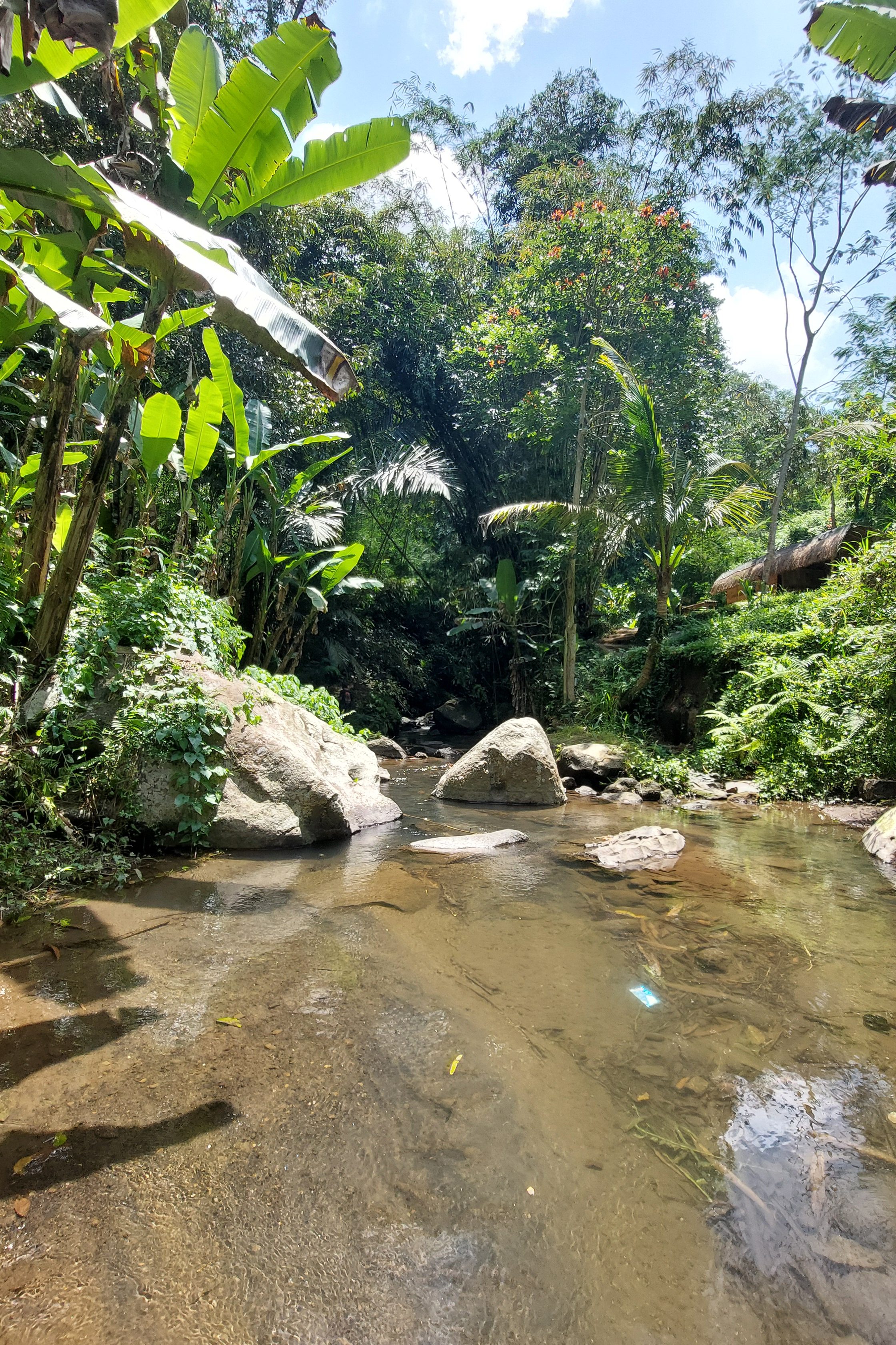 Bali - Reisterrassen, Wasserfall, im Flusslauf baden - Abenteuer mit Tourismus.