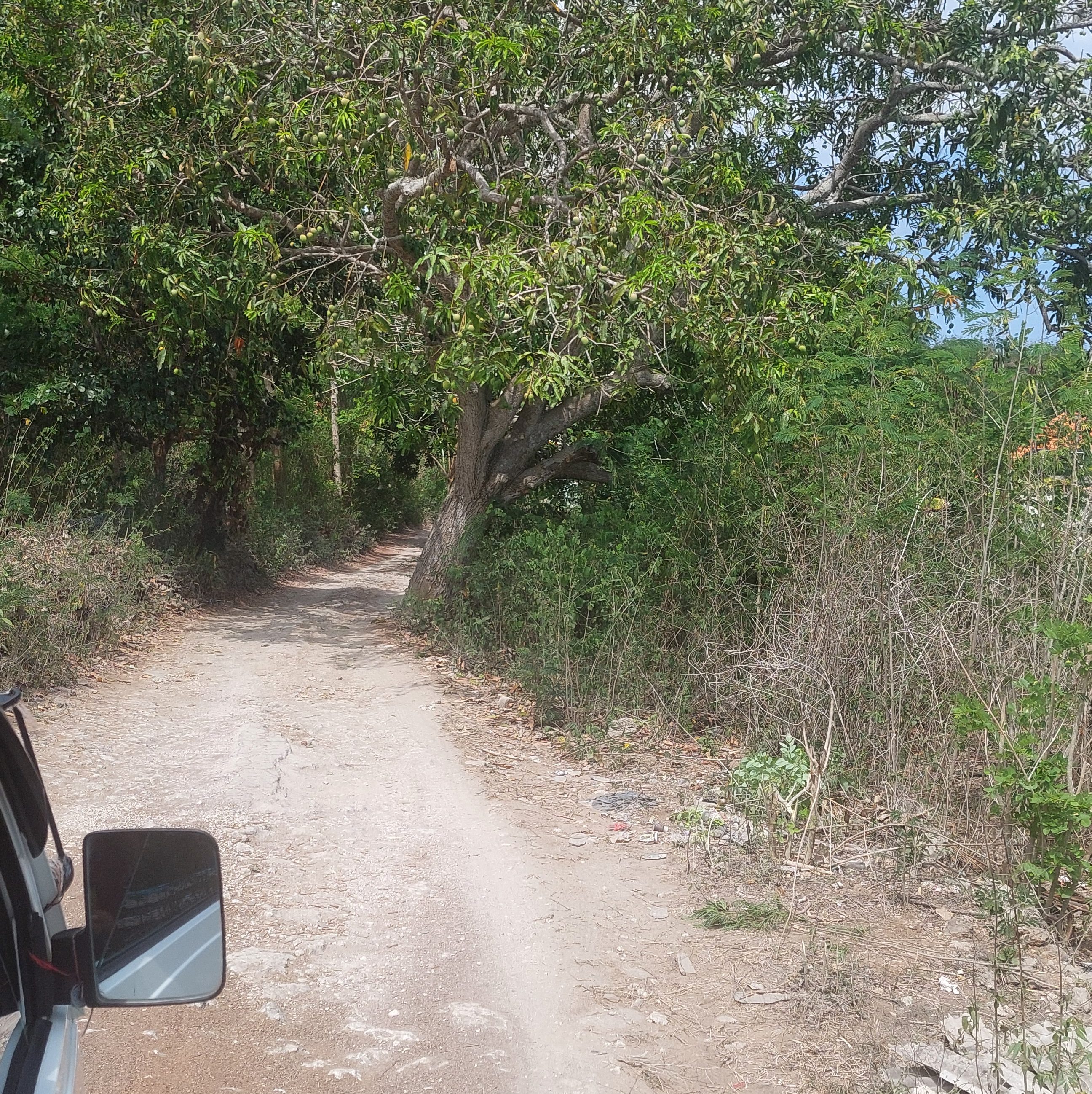 Holprige Straßen auf Nusa Lembongan.